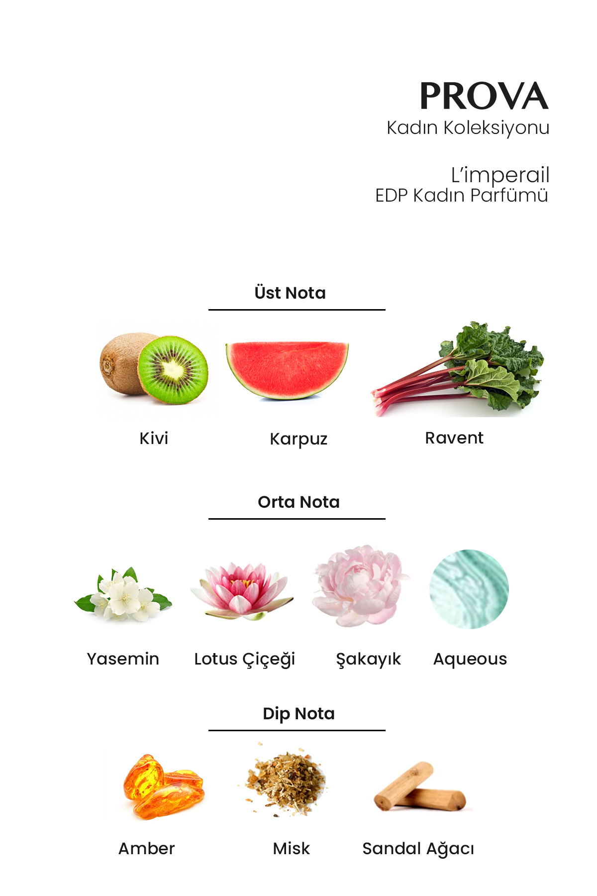 La Vista Ve L'imperial Edp Kadın Parfüm Seti — PRO8696601119665EDP — تصویر 4 از 6