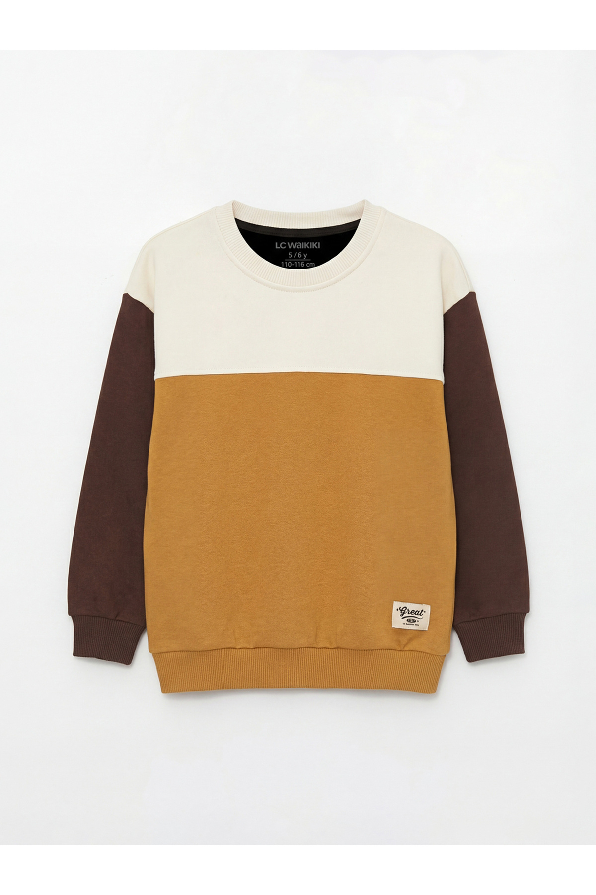 LC Waikiki Meral Collection Bej Bisiklet Yaka Erkek Çocuk Sweatshirt Ve Eşofman Altı fotoğrafı 2 (önizleme)