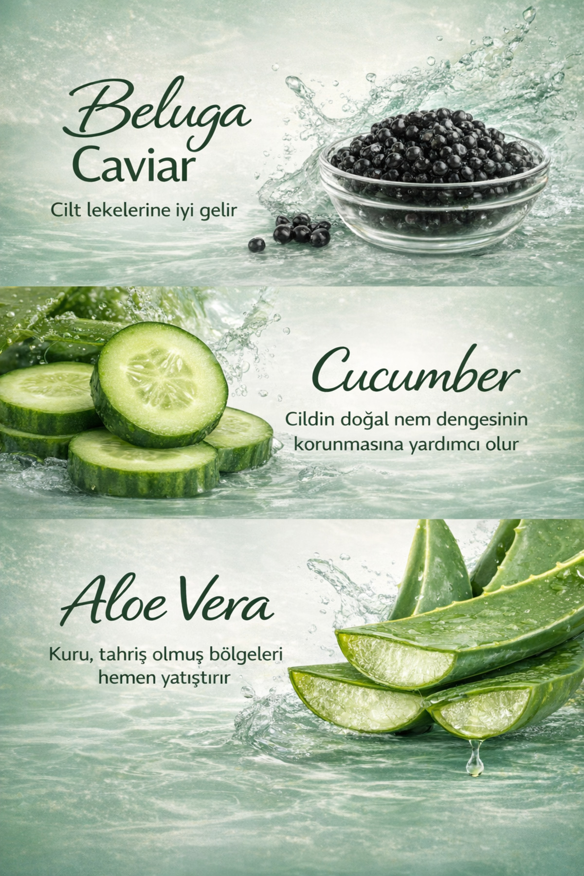 COENZYM Q10 PEELİNG GEL ENZİM PEELİNGBELUCA HAVYAR, ALOE VERA PEELİNG JEL 100ML — 202602 — تصویر 7 از 7
