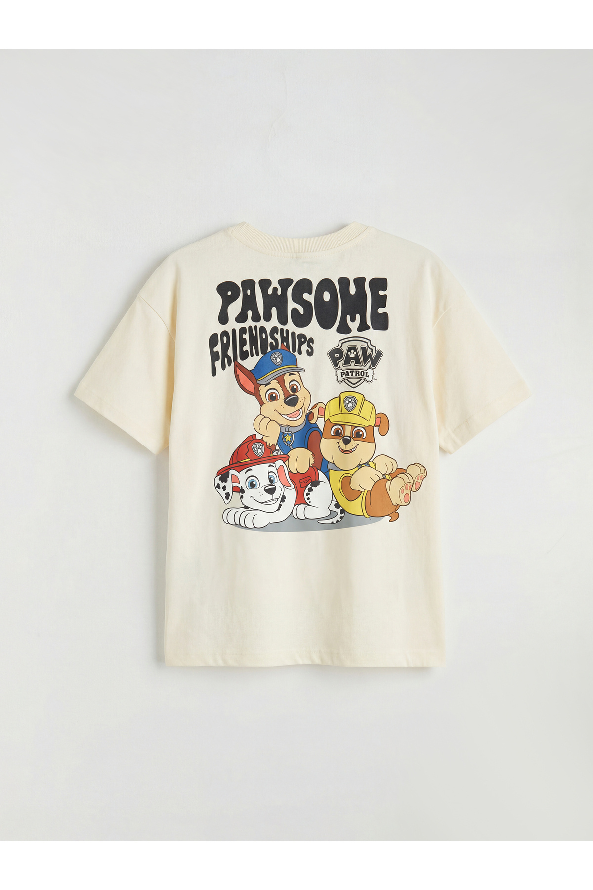 LC Waikiki Nevaa Collection Bej Bisiklet Yaka Paw Patrol Baskılı Erkek Çocuk Tişört ve Pantolon fotoğrafı 3 (önizleme)