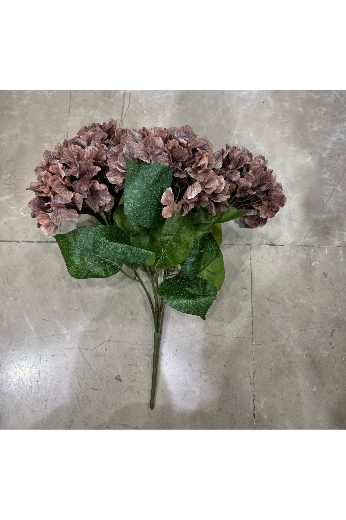 真作保証 グラハム・エヴァデン『花（水仙）』銅版画 R8SD449 真作保証 グラハム・エヴァデン『花（水仙）』銅版画 R8SD449 版画集