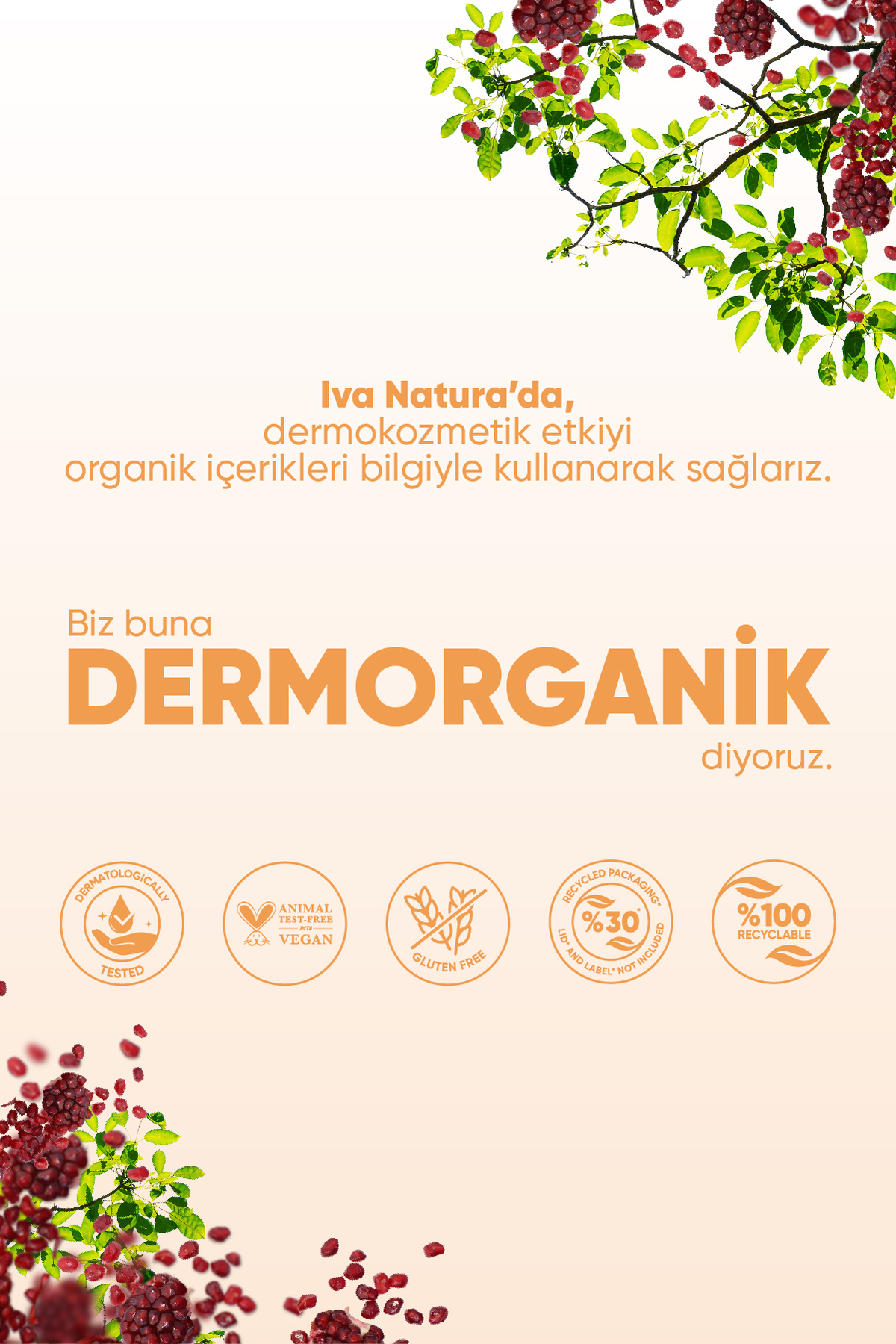 Iva Natura Organik Sertifikalı %98 Doğal Besleyici Bebek Losyonu Shea Ve Nar Özlü 250ml fotoğrafı 6 (önizleme)