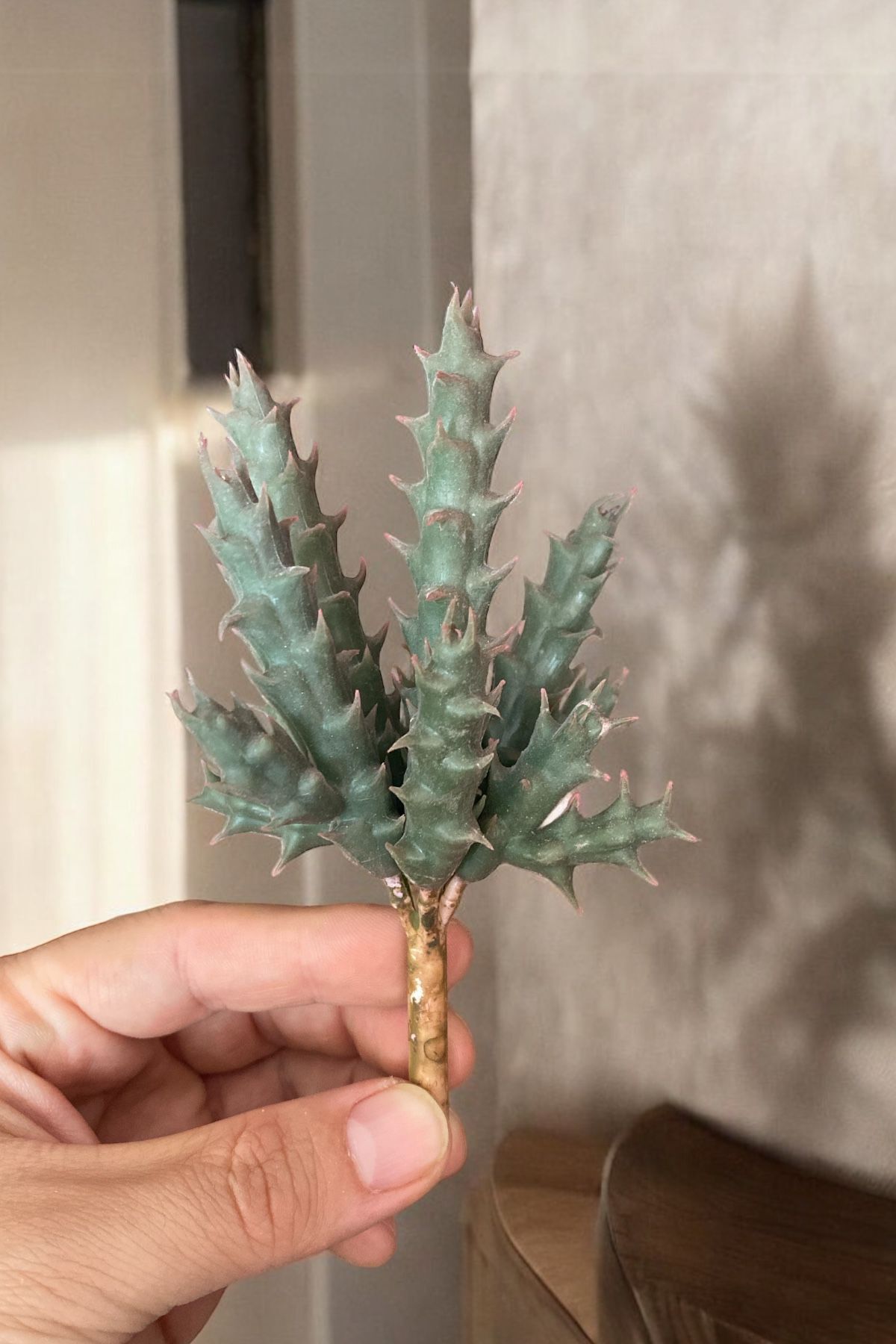 True Textured Artificial Cactus Succulent