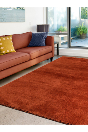 ALgorand Home Oturma Odası Kiremit Peluş Kalın Halı Yatak Odası Başucu Seviml...