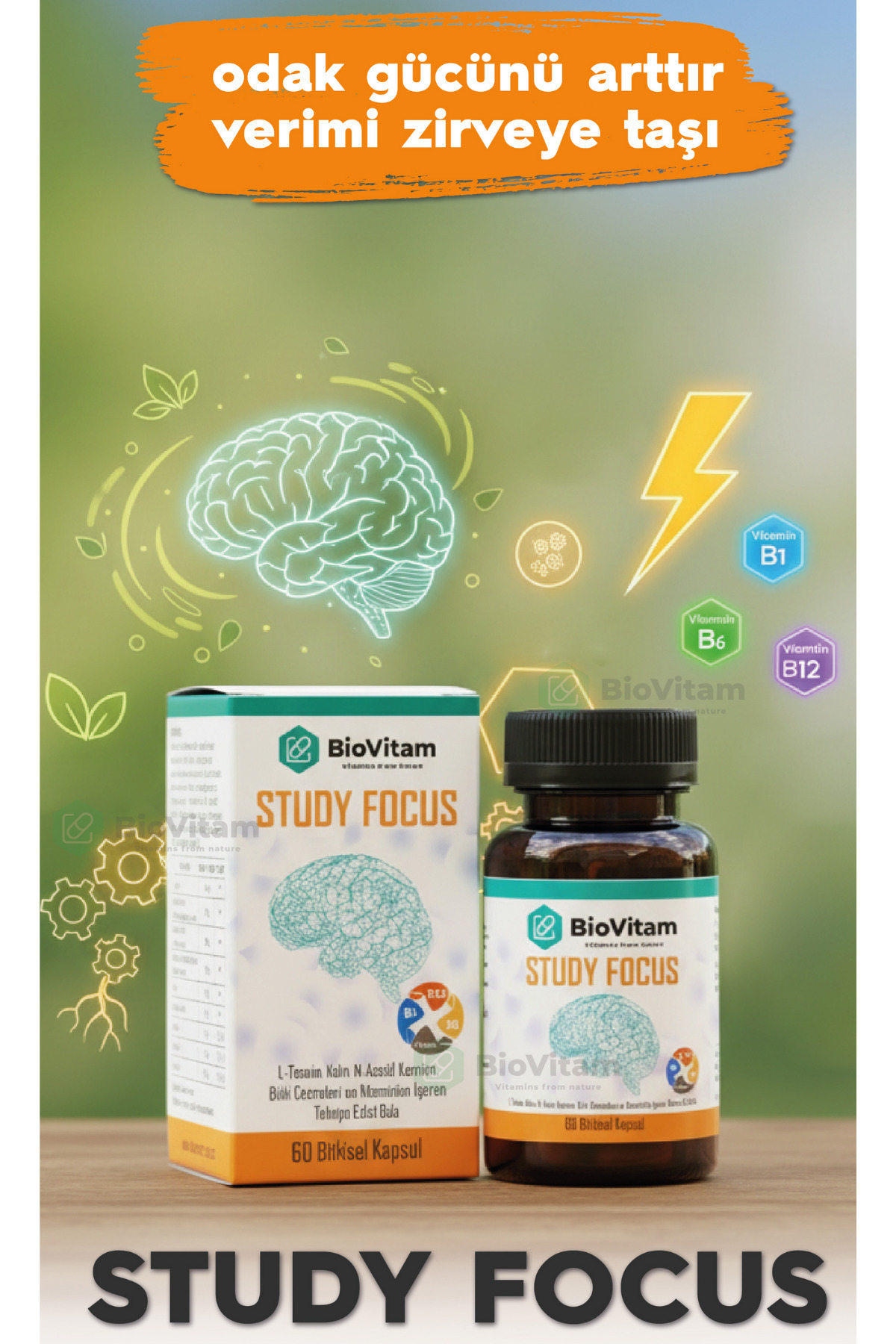 Biovitam Study Focus (Zihinsel , Odaklanma Gücü & Enerji Desteği Bir ...