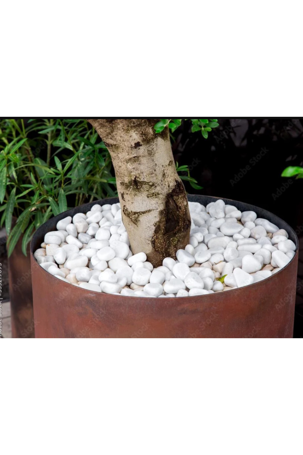 natural stone dolomite ornamental pebble white 5 kg 2-4 cm
