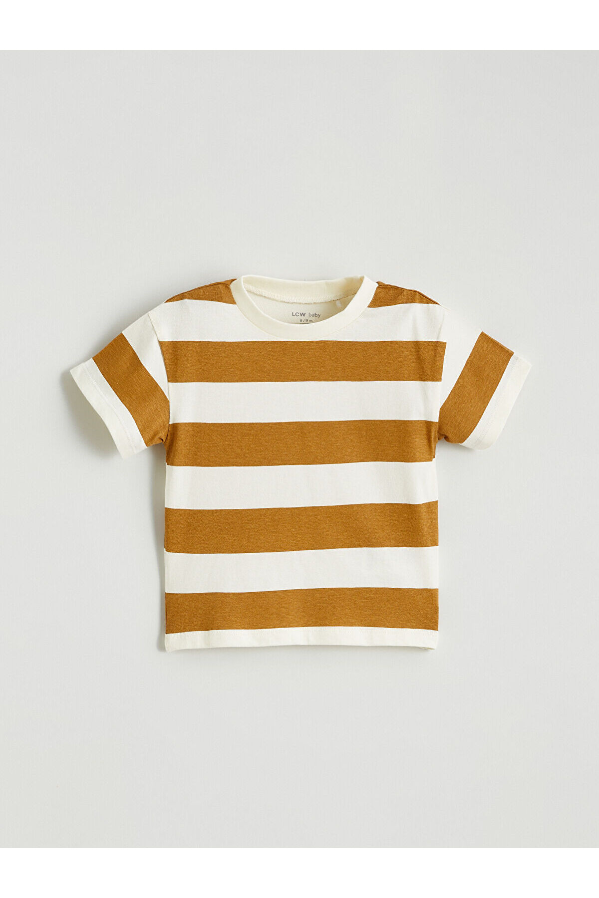 LC Waikiki Elsiva Collection Ekru Bisiklet Yaka Erkek Bebek Tişört ve Şort fotoğrafı 3 (önizleme)