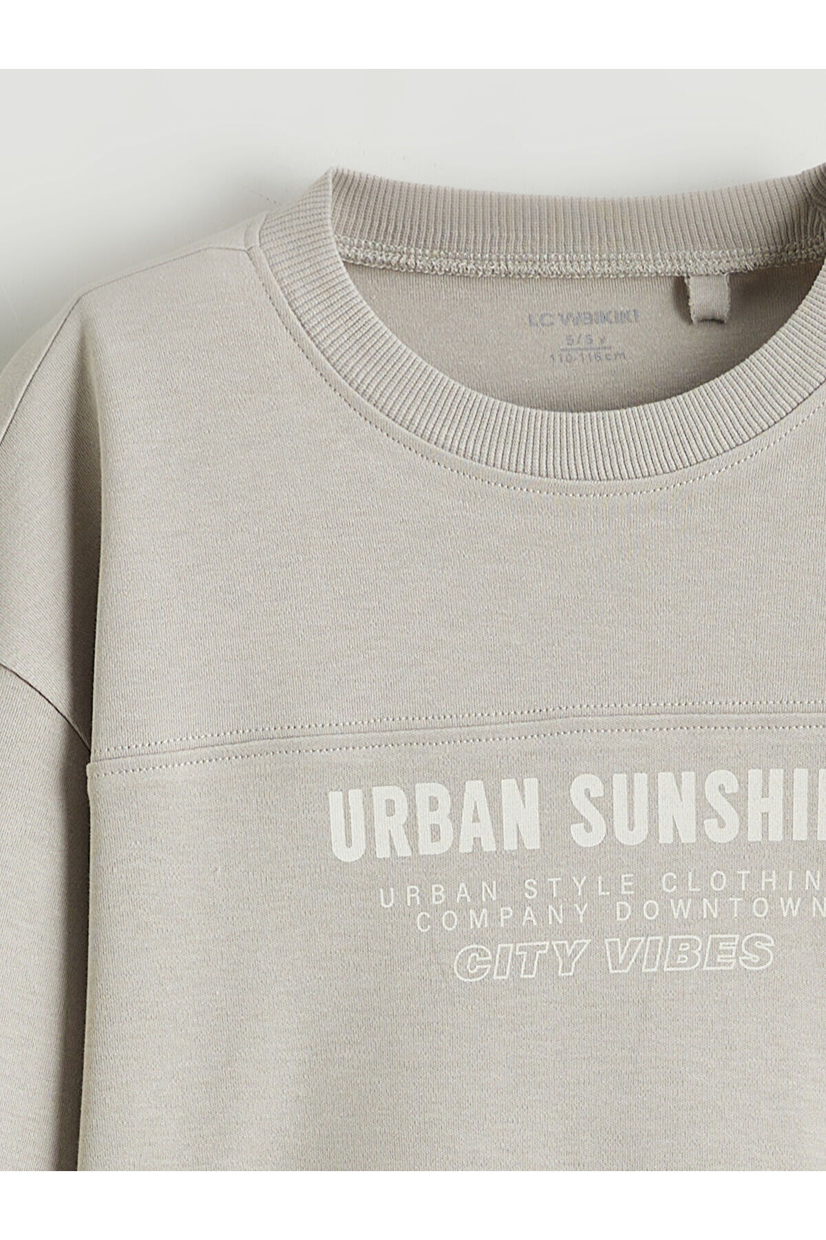 LC Waikiki Nevaa Collection Gri Bisiklet Yaka Baskılı Erkek Çocuk Sweatshirt fotoğrafı 2 (önizleme)