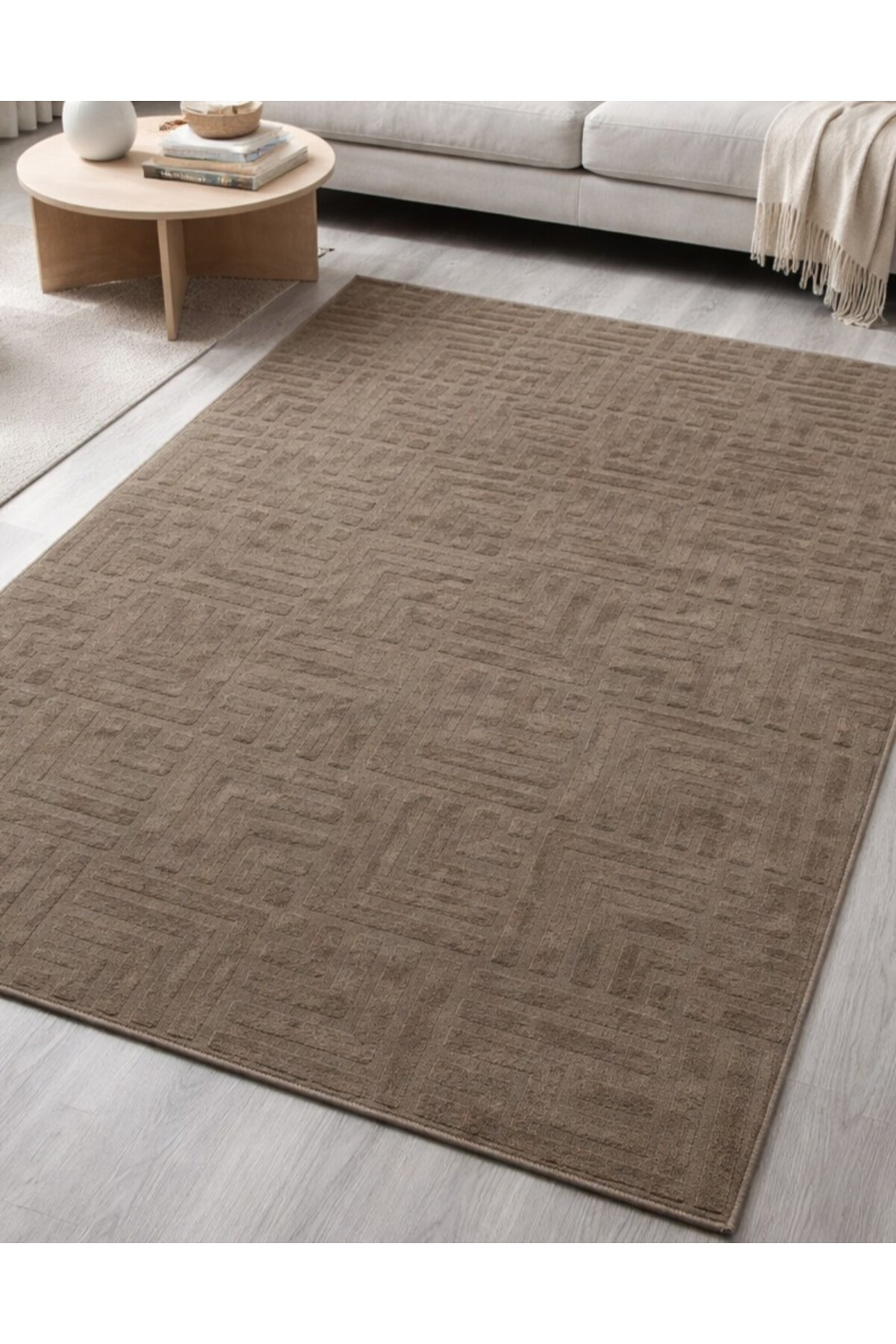 Relief Fountain Elite Mink Anti-Slip Floor Washable Living Room Kitchen Corridor Carpet Runner