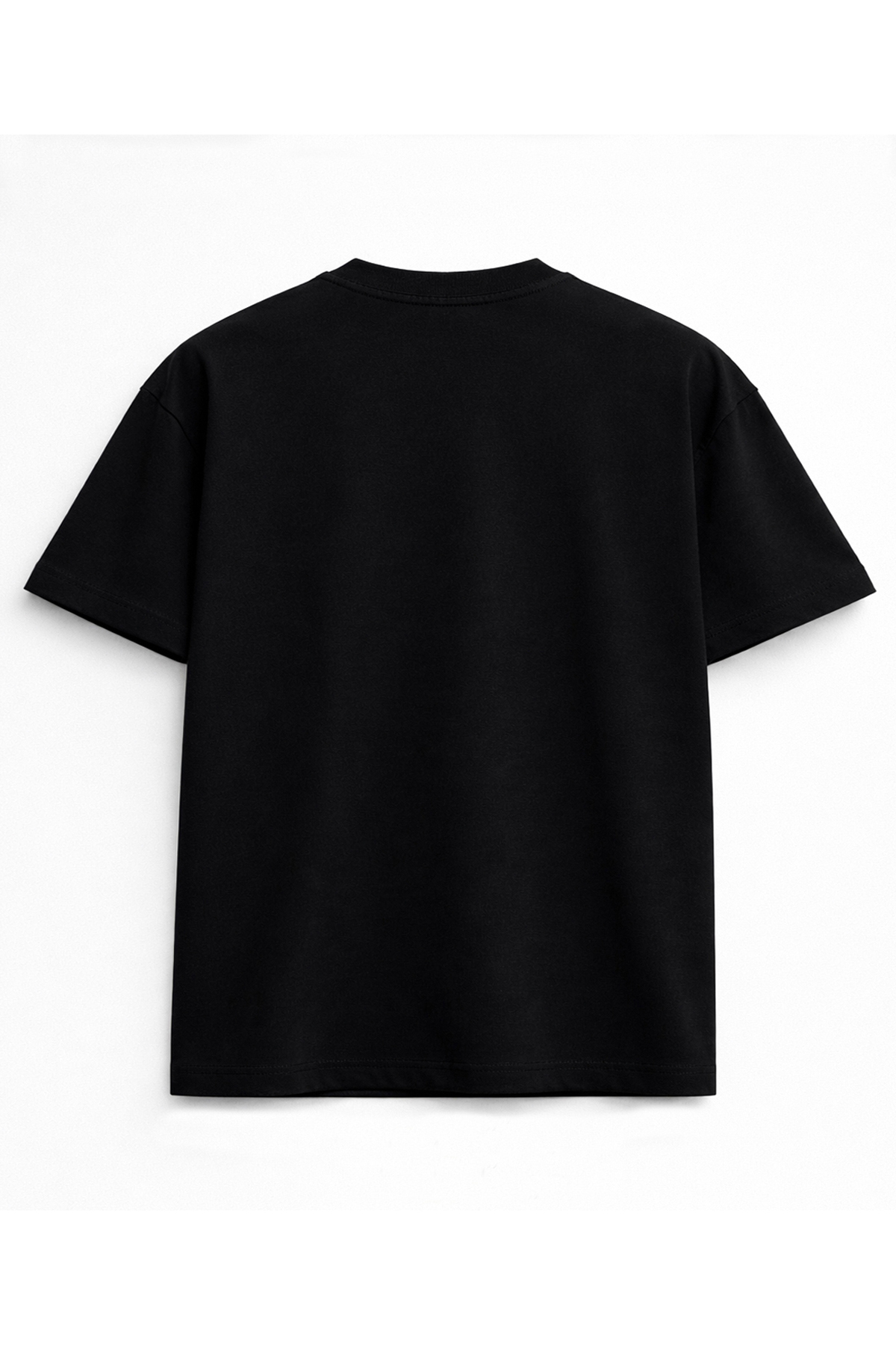 kun inaki  Persian Lion Aslan Bayrak Free İran Flag Bayrak Baskılı Siyah Unisex Tişört - Görsel 2