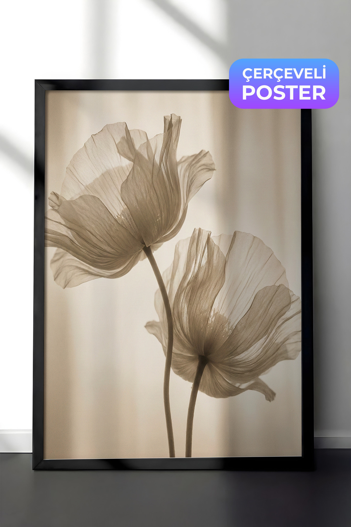 Black Framed Wall Table Transparent Poppy Flower Neutral Tone Minimal Photo Living Room Decor
