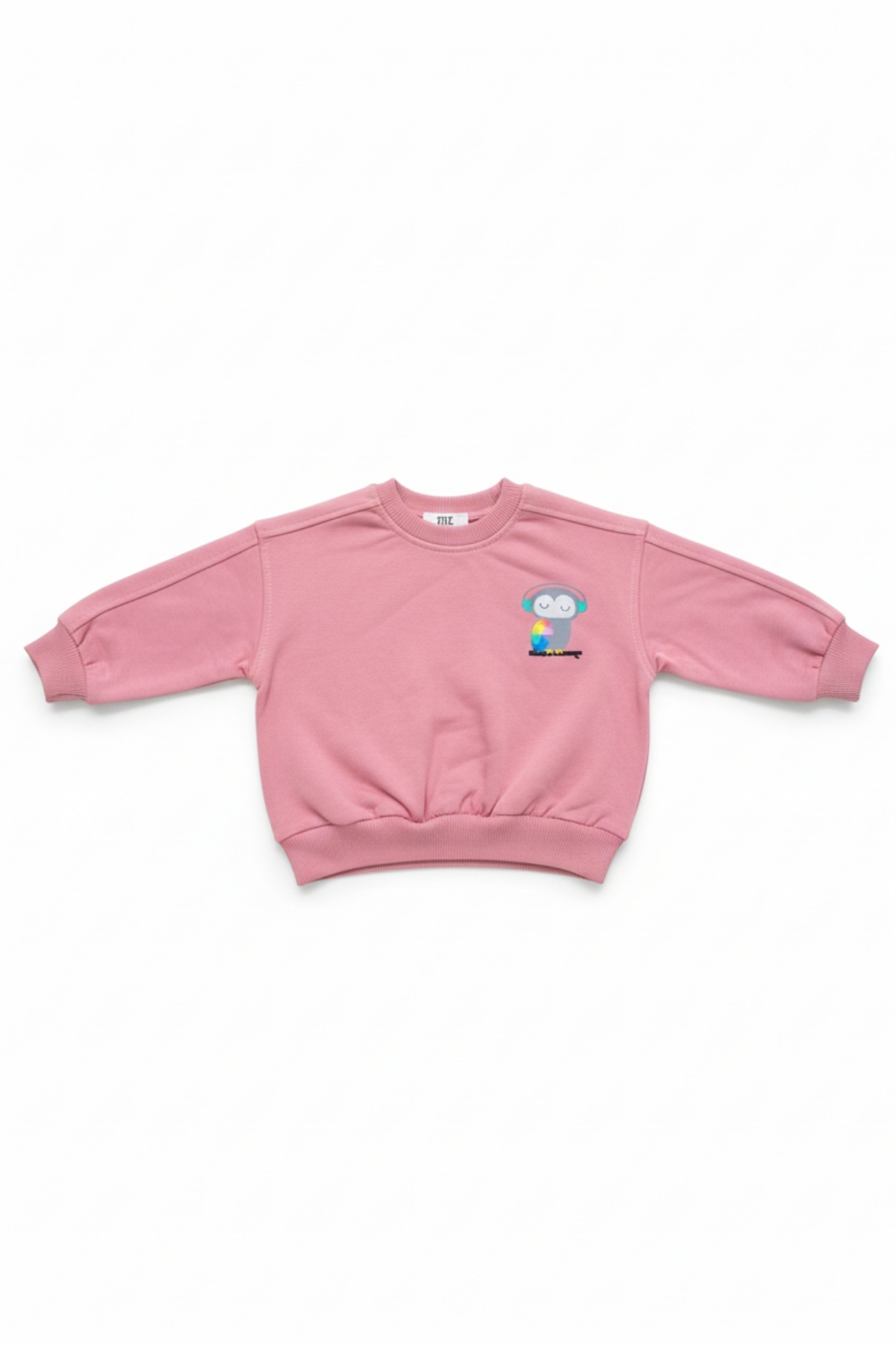 lilico Çocuk Pamuk Renkli Baskılı Oversize 2 İp 2'li Sweatshirt fotoğrafı 3 (önizleme)