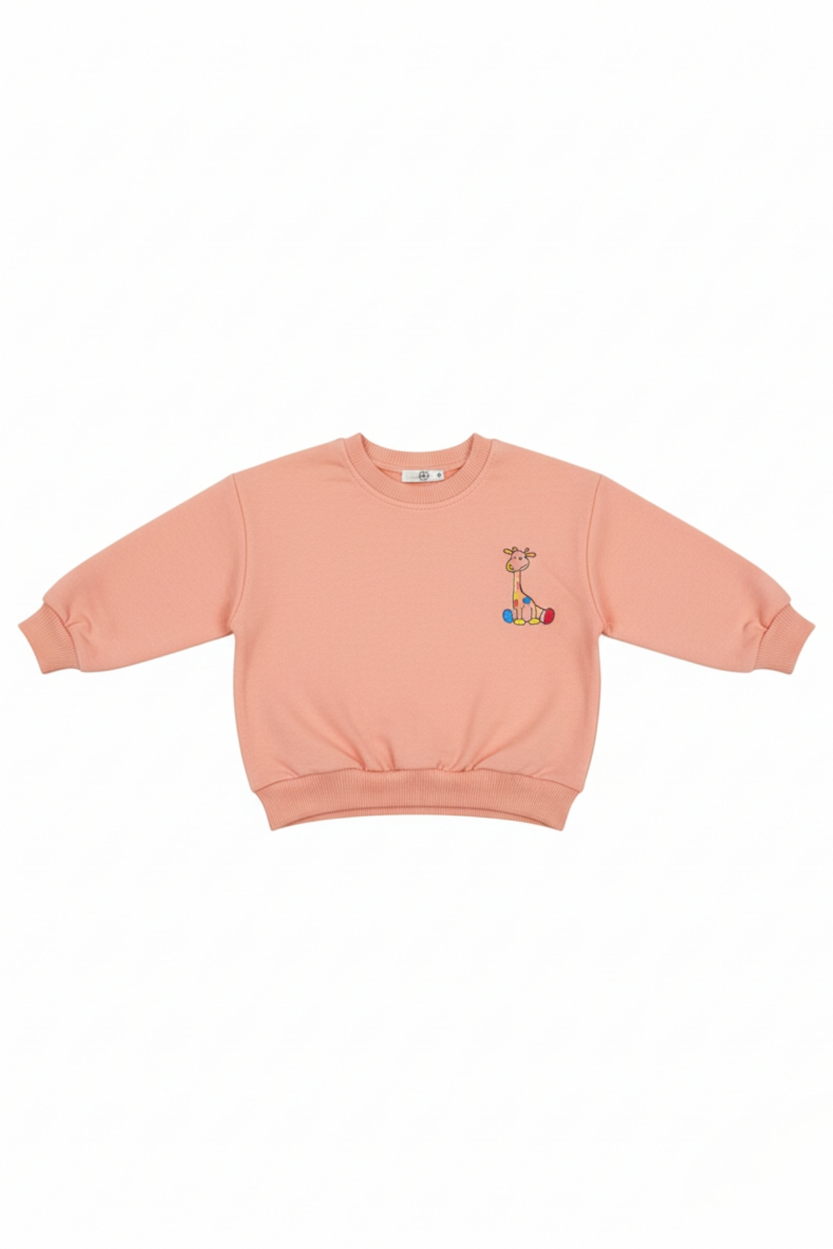 lilico Çocuk Pamuk Renkli Baskılı Oversize 2 İp 2'li Sweatshirt fotoğrafı 4 (önizleme)