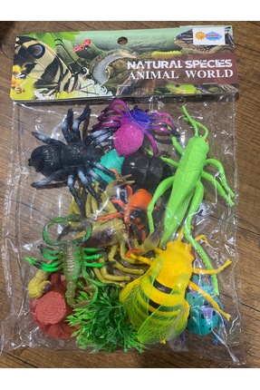 Toys Böcek hayvan seti oyuncak