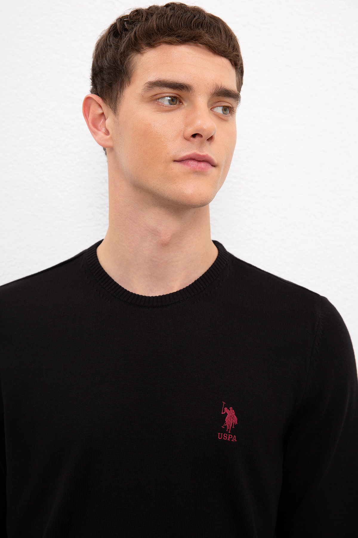 پلیور مردانه راسته آستین بلند | یو اس پولو U.S. Polo Assn. 50224739 - تصویر 2