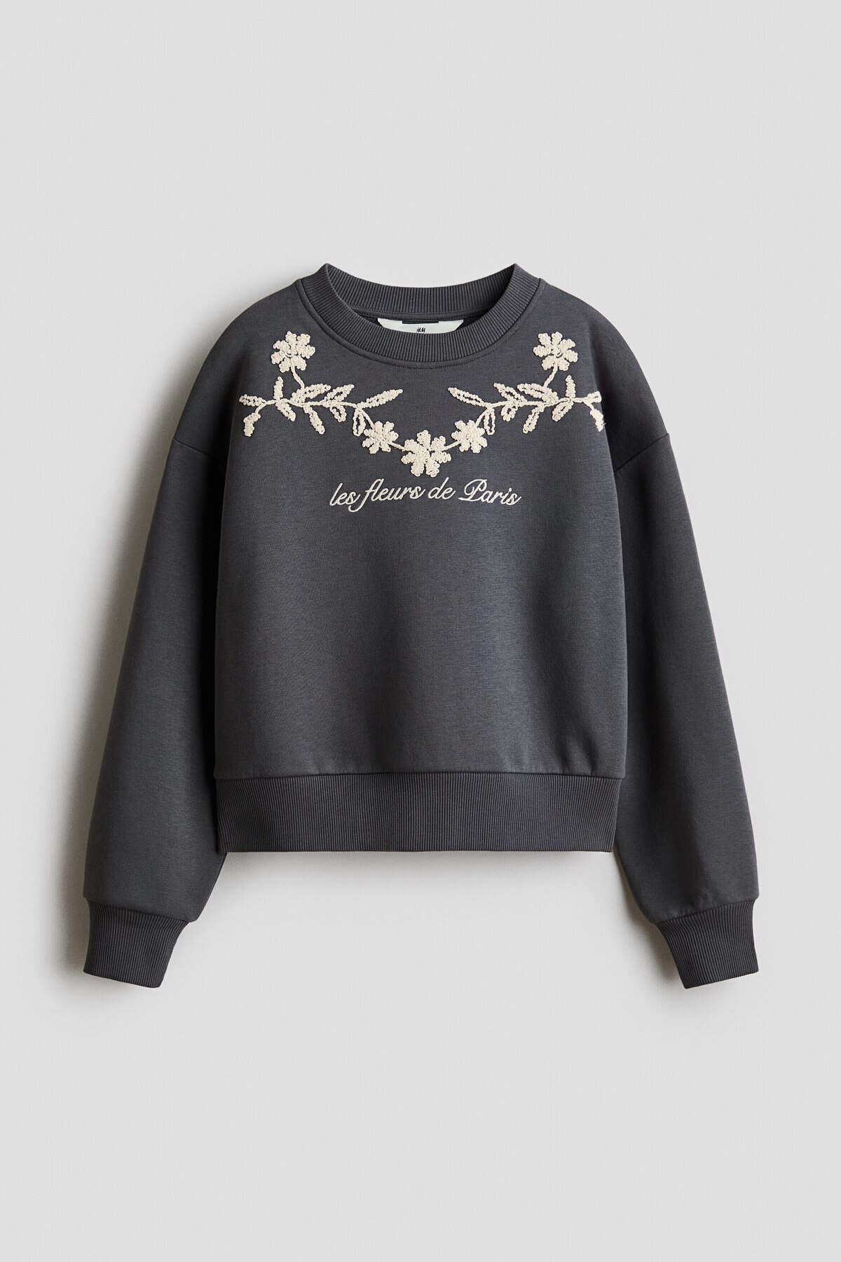 سویشرت گلدوزی شده اچ اند ام سویشرت H&M