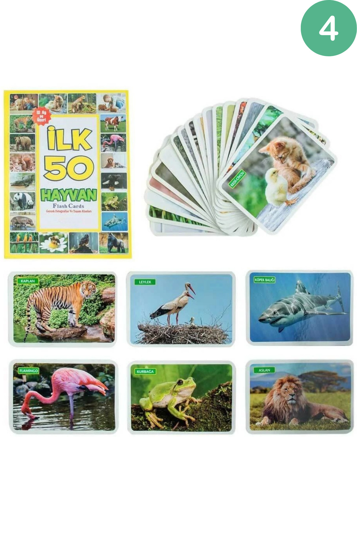 giffy Oyuncak Minik Bebeğimin İlk 50 Hafıza - Sözcük - Meyve Sebze - Hayvan - Eğitici Zeka Flash Kart Set fotoğrafı 6 (önizleme)