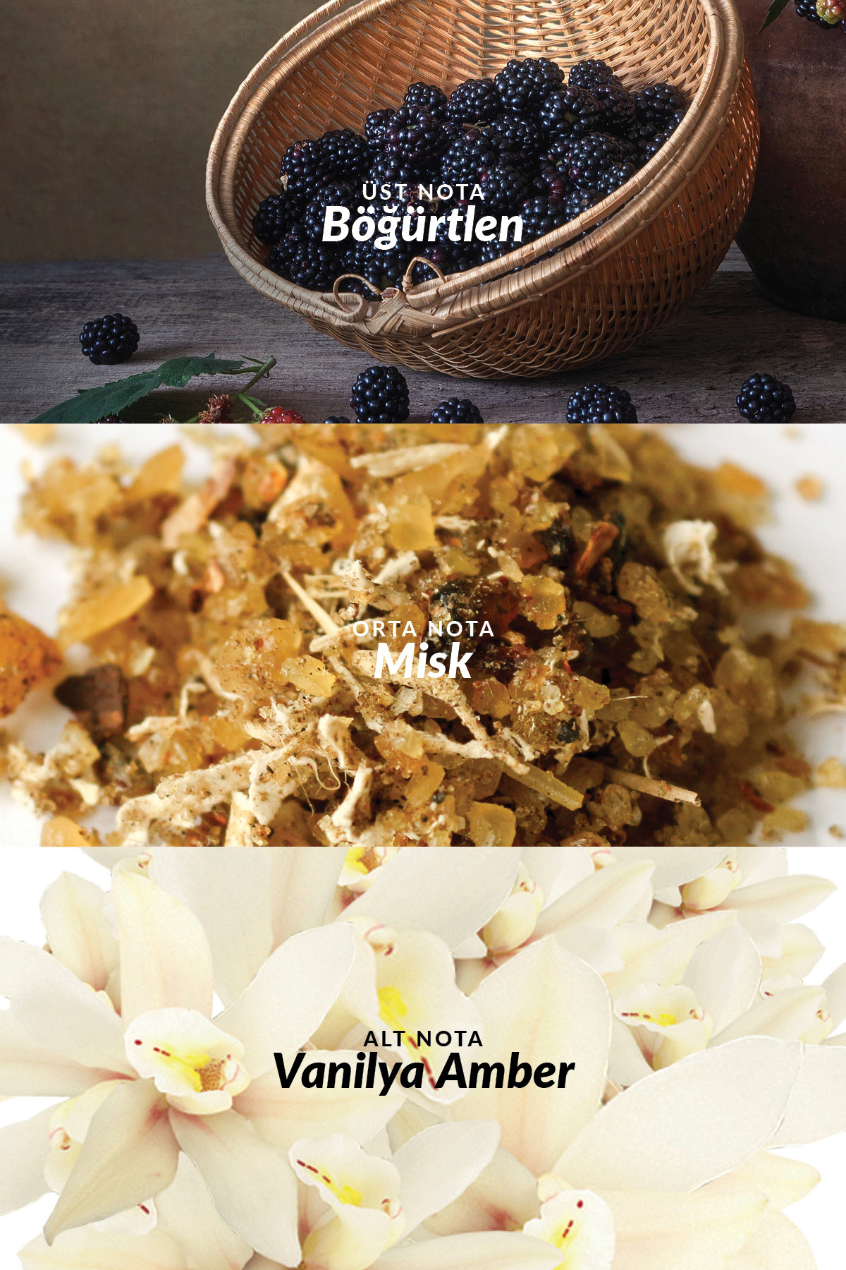 Attraction Kadın Vücut Losyonu 125 Ml. — KREM0020 — تصویر 3 از 5