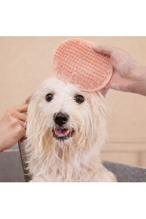 PAWNEST Kedi ve Köpek Kauçuk Banyo ve Tüy Toplama Eldiveni – Masajlı Temizlik...