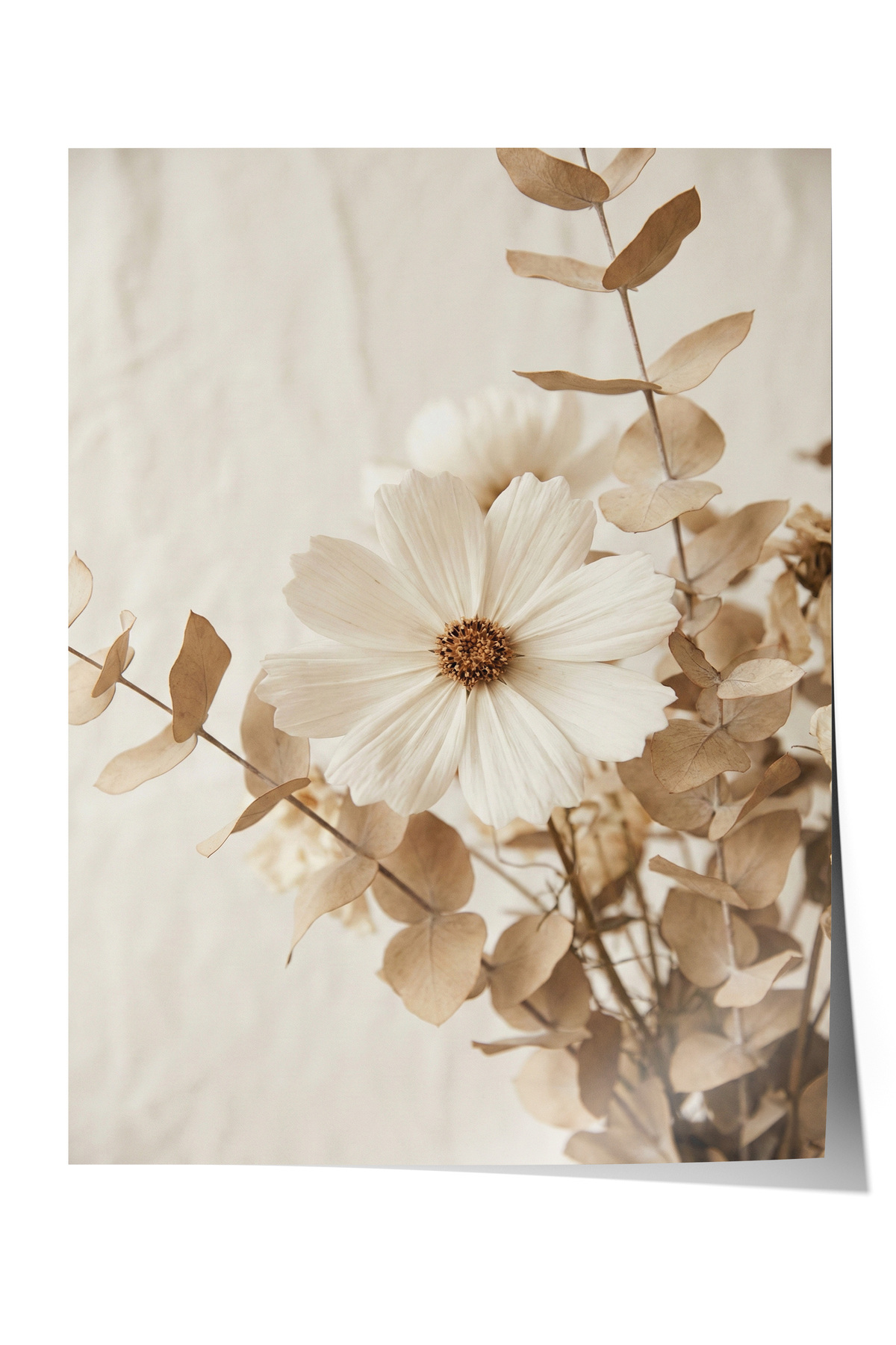 Poster Cream Tone White Flower and Eucalyptus Neutral Botanical Salon Decor