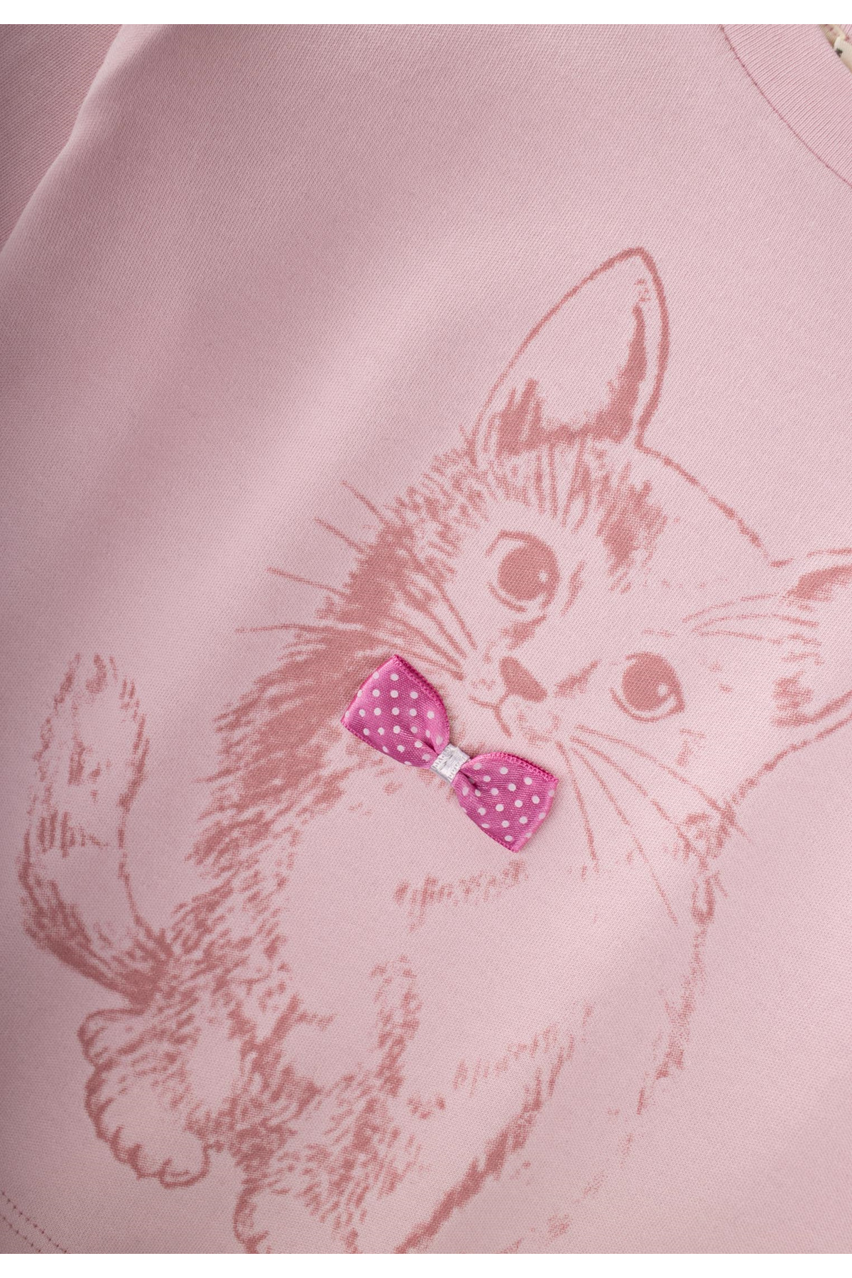 Cigit Kedi Baskılı Pijama Takım 2-8 Yaş Pudra Pembe fotoğrafı 4 (önizleme)