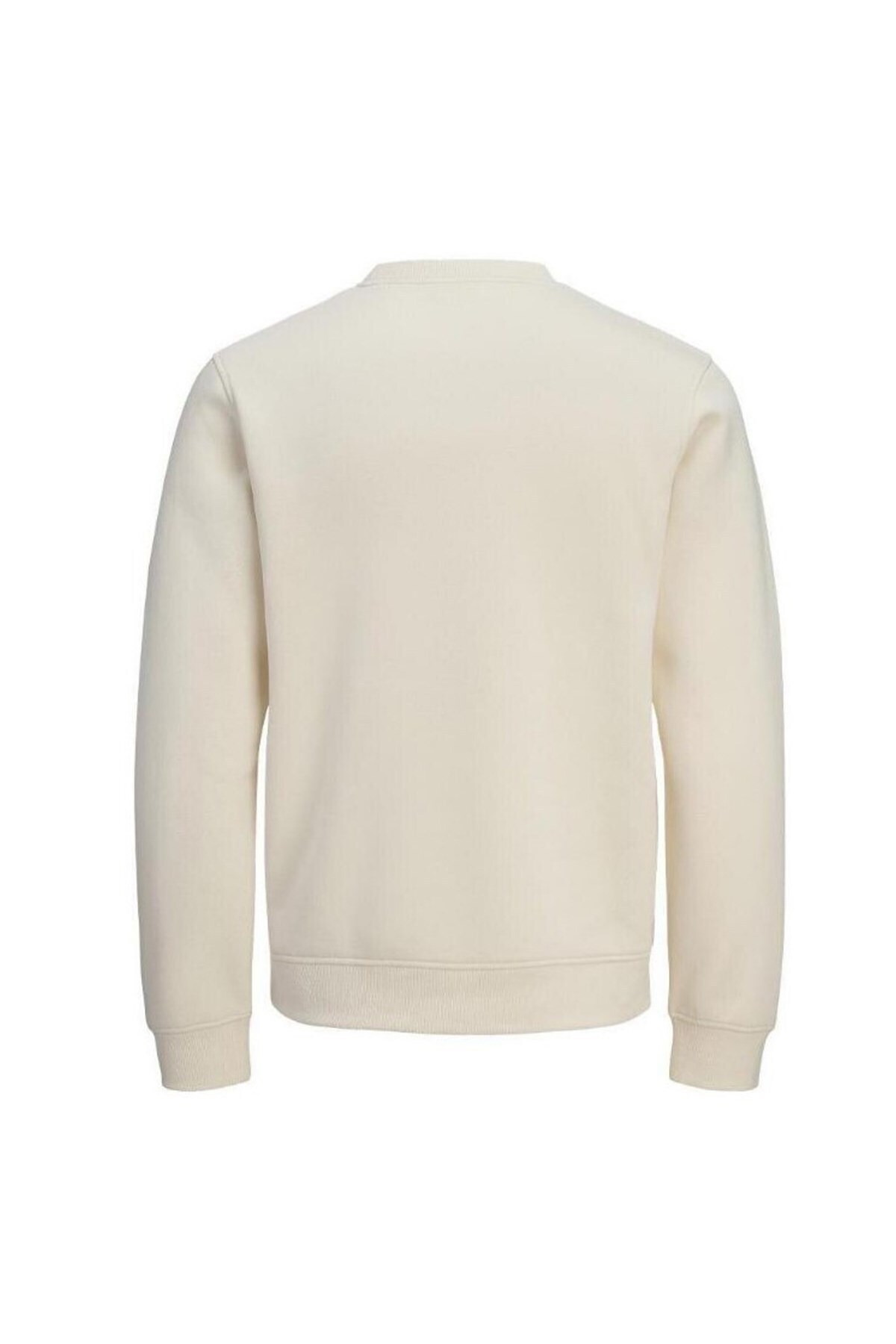 Jack & Jones Jorinwood Erkek Sweatshirt görsel 2