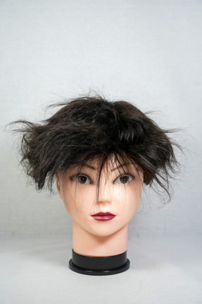Number One Hair HOLLYWOOD 6X8 1B