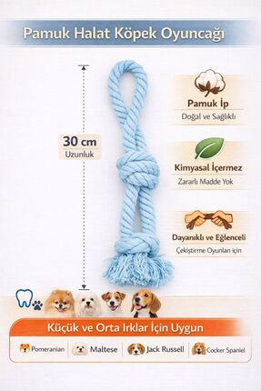 Eva & Wall-e Pamuk Halat Köpek Oyuncağı Küçük Irklar İçin | Diş Temizleyici İ...