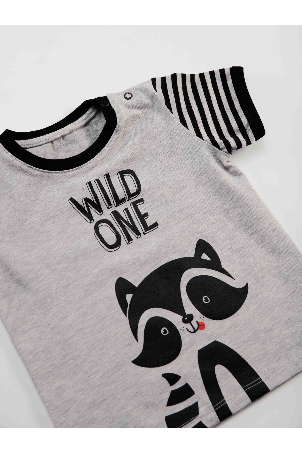 Denokids Rakun Erkek Bebek T-shirt Kapri Şort Takım fotoğrafı 6 (önizleme)