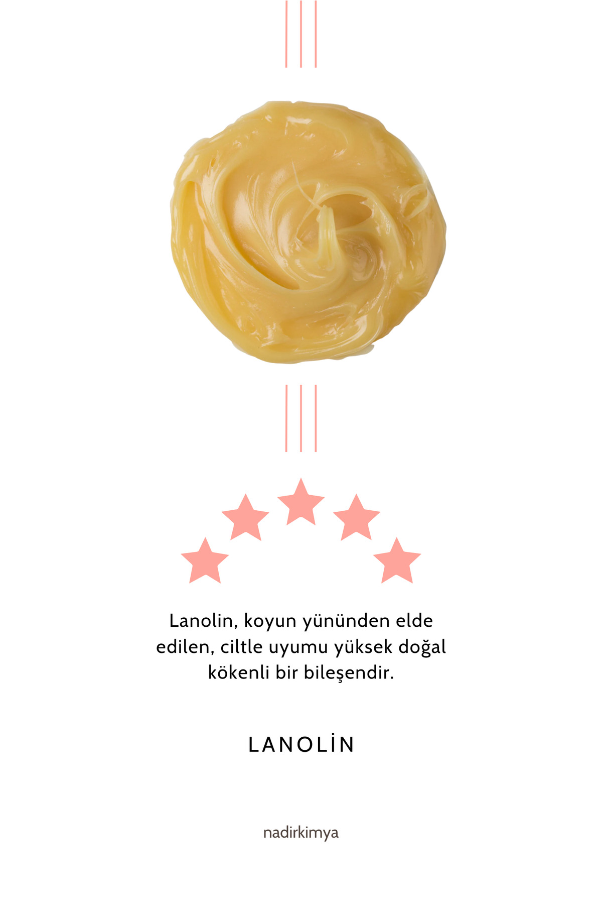 Lanolin 50 Gr - %100 Saf ve Doğal (Koyun Yünü Yağı) - (Anhydrous) — NK1107-LNN50 — تصویر 4 از 4