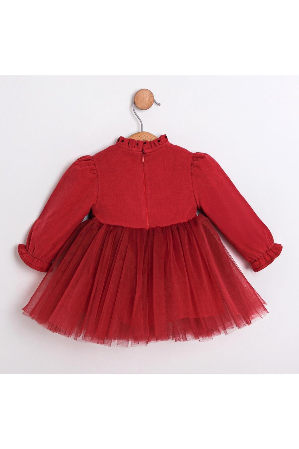 ministok Judy Önü Fiyonk Detaylı Tütü Etekli Kız Bebek Elbisesi fotoğrafı 2 (önizleme)