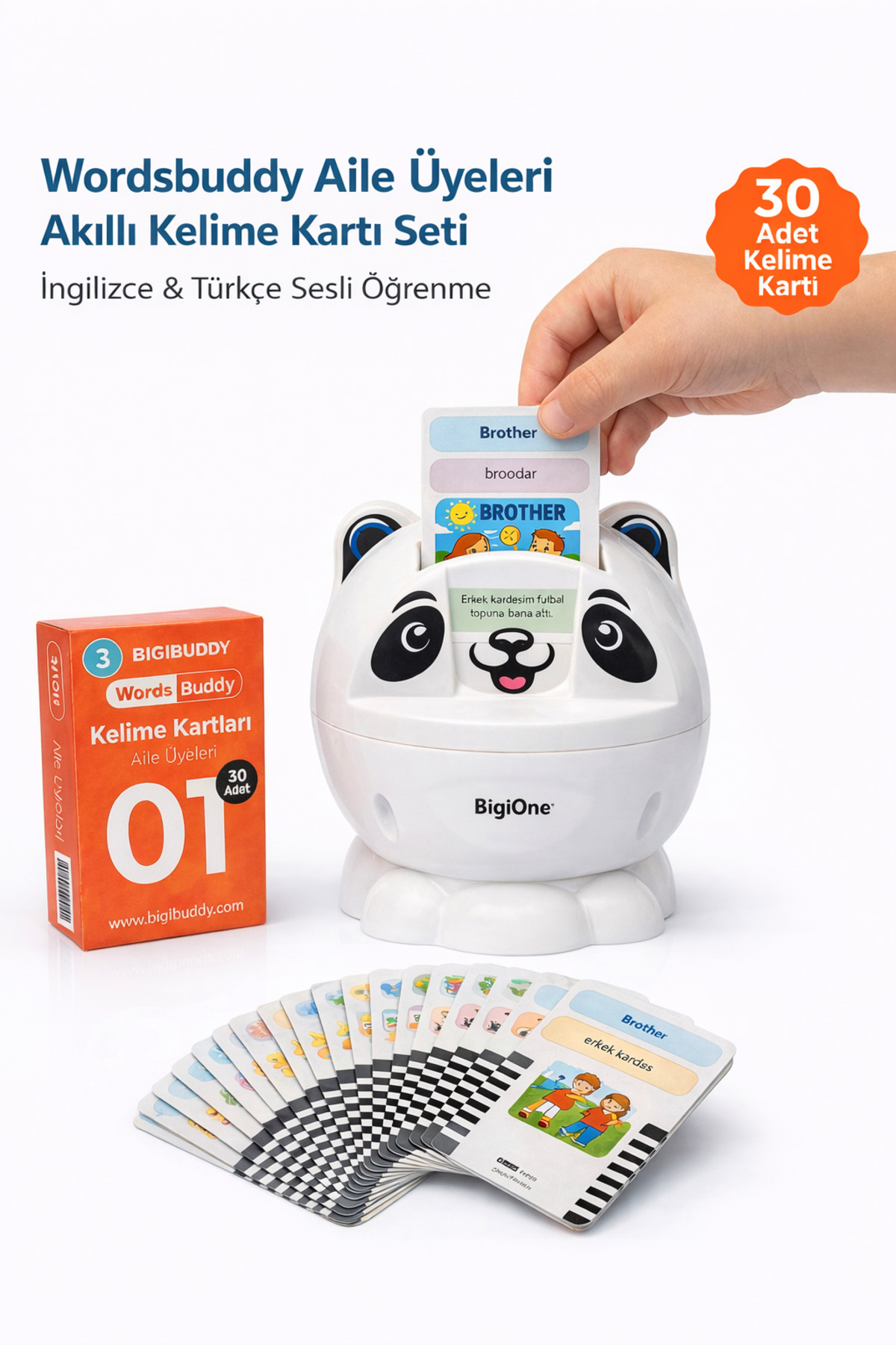 Bigibuddy İngilizce Türkçe Eğitici Sesli Kelime Kartı WordsBuddy Aile Üyeleri 01 (BigiOne Uyumlu) fotoğrafı 2 (önizleme)