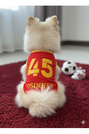 PuluPulu isim ve numara yazılabilen kedi ve köpek forması