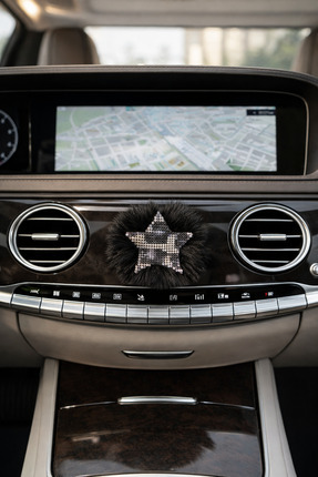 Oasis Life ARAÇ KLİMA SÜSÜ SİYAH TÜYLÜ YILDIZ TAŞLI LEOPAR ARABA SÜSÜ