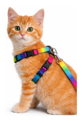 GenelTedarik Çok Renkli Kedi Boyun ve Göğüs Tasması