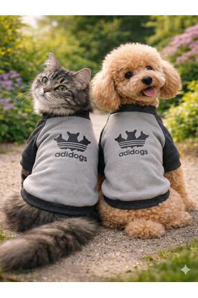 BarniCO Kedi Köpek Baskılı Sweat