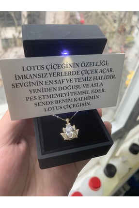 SARIASLAN Işıklı Kutuda Yeni Lotus Çiçeği Gümüş Kolye 14 Ayar Altın Suyu