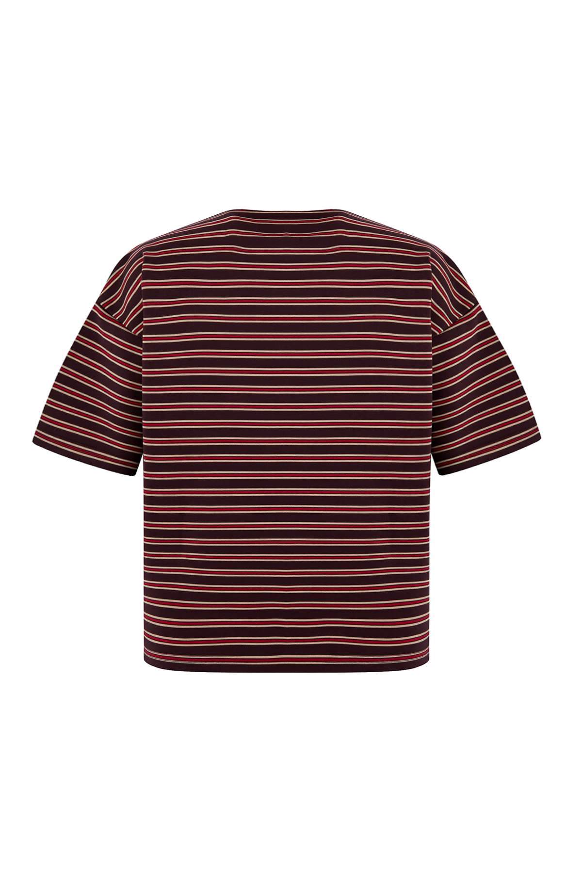 Trendyolmilla  Bordo Çizgili Oversize Kalıp Polo Yaka Dokuma Detaylı Tok İnterlok Örme T-Shirt TWOSS26TS00030 - Görsel 7