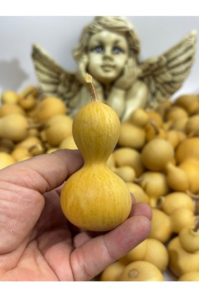 gemsartdeco Su Kabağı 1 Adet