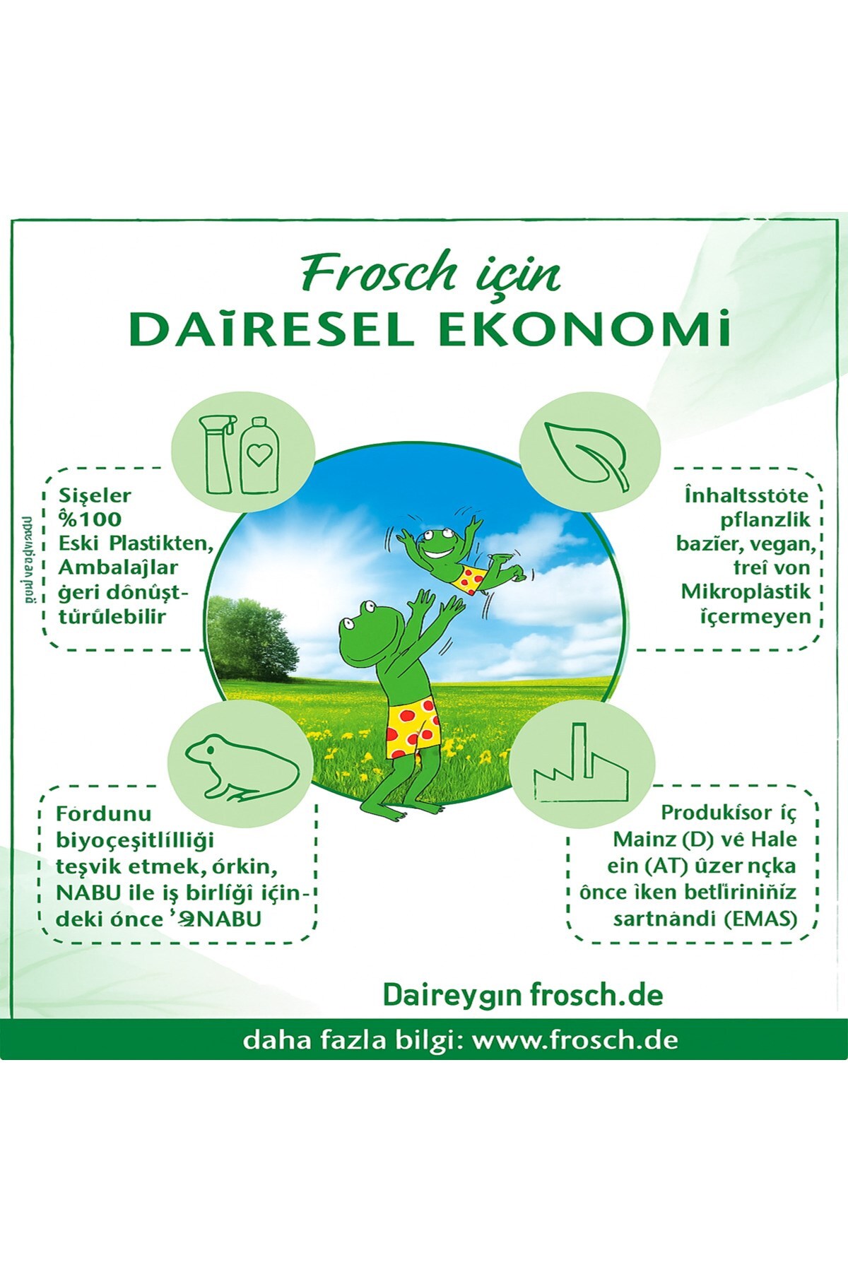 Frosch Safra Sabunu Etkili Leke Çıkarıcı & Ön Yıkama Spreyi 500 ml, Bebek Çamaşırına Uygun, Vegan fotoğrafı 7 (önizleme)