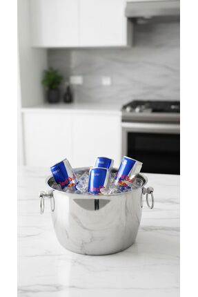 SteelAndArt Buz Kovası 304 Kalite Paslanmaz Çelik