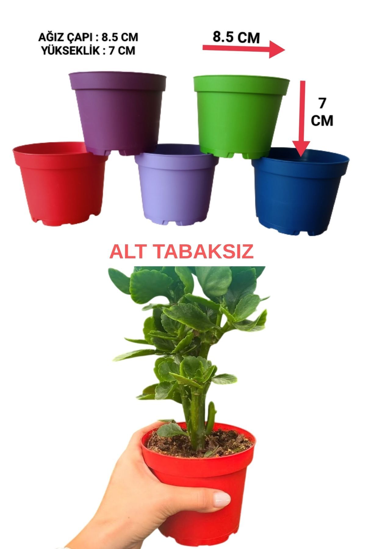 10 Plastic 5-Color Flower Pot (8.5 CM) Without Bottom Plate