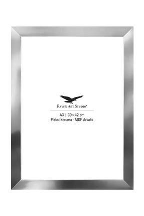 Raven Art Studio Potala A3-30x42cm Gümüş Resim Fotoğraf Belge Poster Evrak Çe...