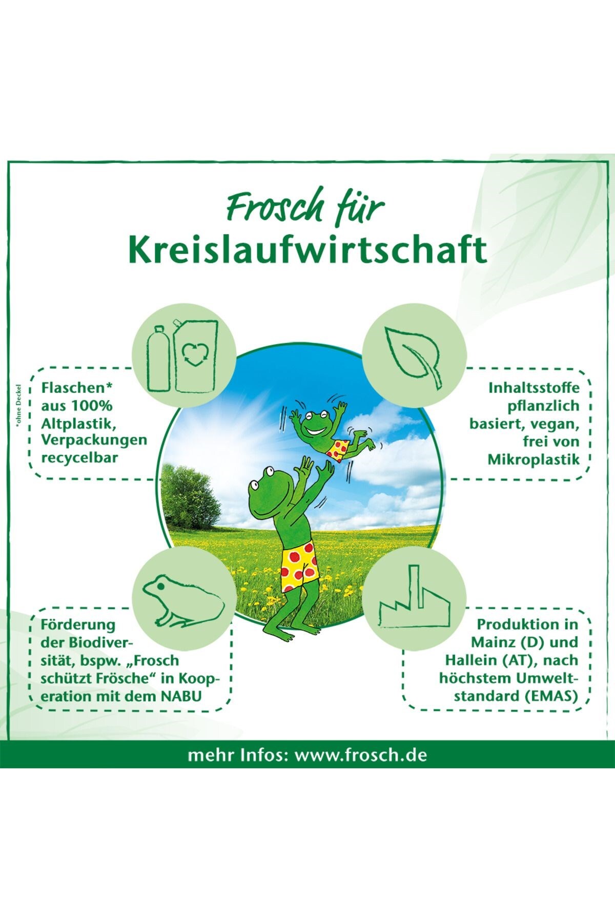 Frosch Aloe Vera Hassas Toz Çamaşır Deterjanı 1,45 kg–22 Yıkama x 2 Adet, Bitki Bazlı, Hipoalerjenik fotoğrafı 5 (önizleme)