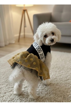 BarniCO Kedi Köpek Özel Tasarım Tütü Elbise