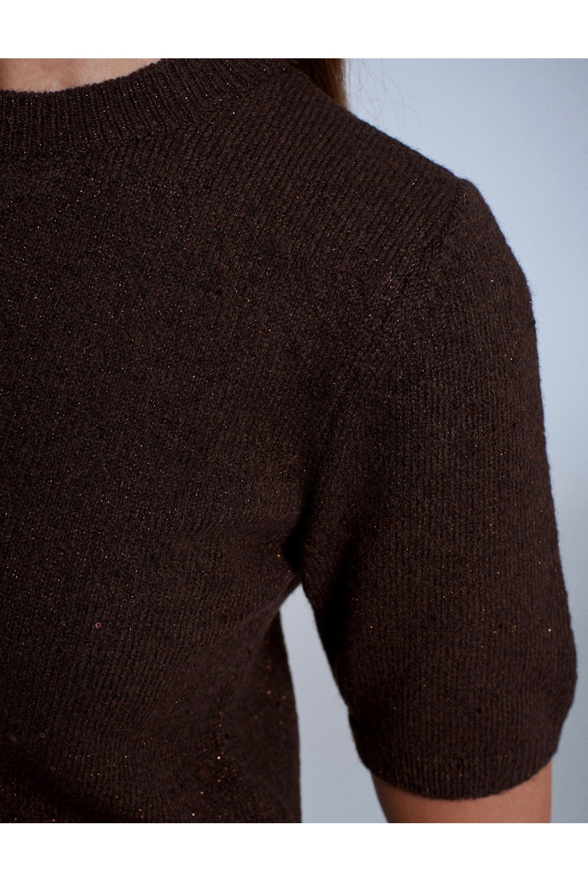 Dilvin  Parıltılı Kısa Kollu Kazak-Kahve - Görsel 3