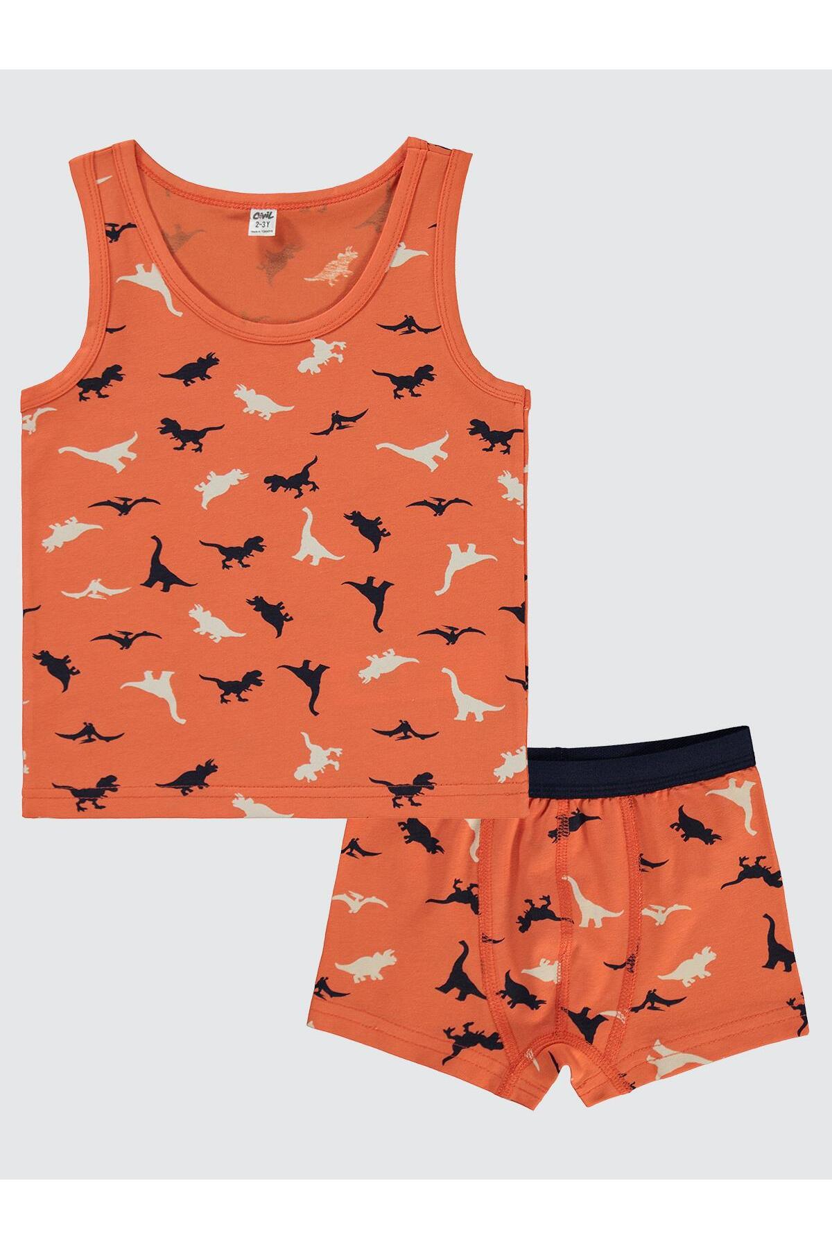 Civil Boys Dinazor 2-10 Yaş İç Çamaşır Takım - Standart 6-7 Yaş fotoğrafı 2 (önizleme)