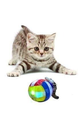 Kedi Oyuncaği Topu Hareketli Pilli jyththj