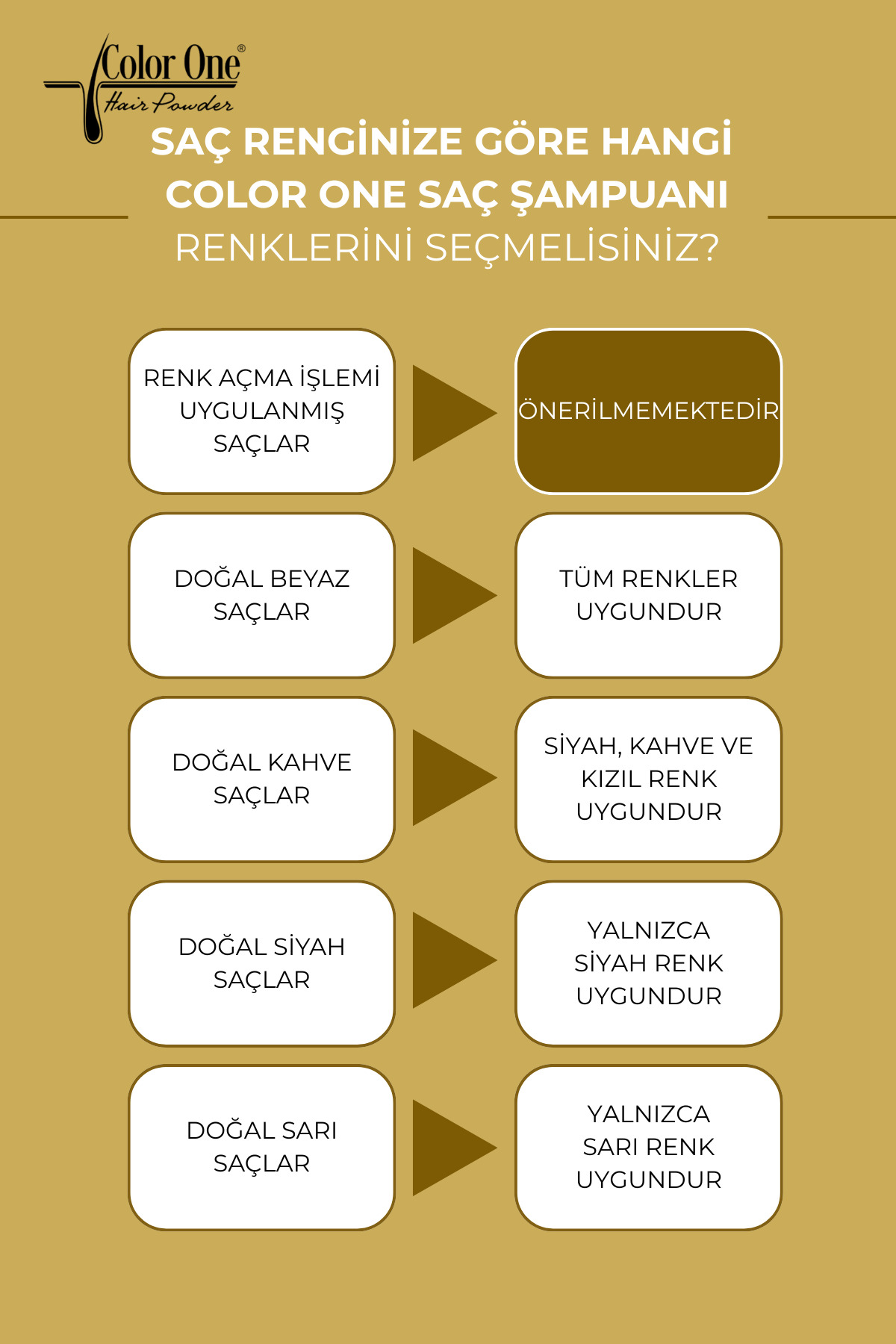 Koyu Kahverengi (Dark Brown) Saç Şampuanı | 300 ML & Ton Etkisi — 8684556385013-12 — تصویر 7 از 7