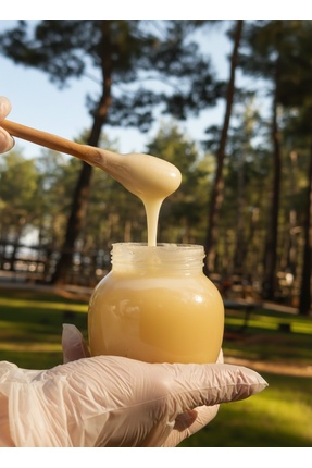 Balkovan Doğal Organik Beyaz Bal 450gr.